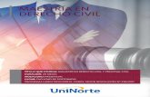 Brochure Derecho Civil - postgrado.uninorte.edu.pypostgrado.uninorte.edu.py/.../uploads/2017/08/brochure-derecho-civil.pdf · Formar profesionales en derecho civil y procesal civil