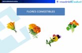 Presentación de PowerPoint - jornadasavesa.com · Consideraciones previas: Muy pocas empresas en Merca se dedican a este producto. En concreto que dispongan de flores habitualmente,