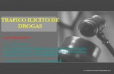 TRAFICO ILICITO DE DROGAS - mpfn.gob.pe · TRAFICO ILICITO DE DROGAS CONCORDANCIAS: Ley N°27765, Art. 6 R. N° 1456-2005-MP-FN (Reestructuran jurisdicciones de Fiscalías Especializadas