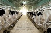 Soluciones de higiene para procesos ganaderos - proquimia.com · En Proquimia fabricamos y comercializamos especialidades químicas, aportando soluciones integrales para contribuir