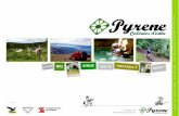 INFO Aventura JR&WILD 2019 CAT - coloniesestiupyrene.com · El Club Esportiu Pyrene som una entitat que estimem el Pirineu i facilitem que tothom el descobreixi. Organitzem activitats