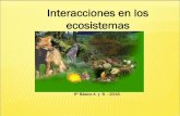 Interacciones en los ecosistemas · 6º Básico A y B - 2018 Interacciones en los ecosistemas . ECOLOGÍA: es la ciencia que estudia las relaciones que mantienen seres vivos con su