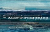 Síntesis del estado - marpatagonico.org · Foro para la Conservación del Mar Patagónico y Áreas de Influencia (2008) Síntesis del estado de conservación del Mar Patagónico