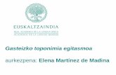 aurkezpena: Elena Martínez de Madina - Euskaltzaindia · P. 3.207, f. 241). “Una heredad en el termino de Apilesgana que alinda por el orientte a los dos Caminos que dirigen al