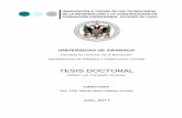 TESIS DOCTORAL - hera.ugr.eshera.ugr.es/tesisugr/20056643.pdf · innovaciÓn a travÉs de las tecnologÍas de la informaciÓn y la comunicaciÓn en formaciÓn profesional. estudio