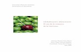 Globalització i alimentació. El cas de la comarca de la ...openaccess.uoc.edu/webapps/o2/bitstream/10609/1228/1/36283tfc.pdf · trastorns alimentaris que afecten de forma important