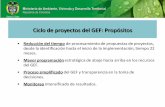 Ciclo de proyectos del GEF: Propósitos · • Habilidad del proyecto para entregar resultados y generar beneficios medioambientales globales consistentes con las estrategias del