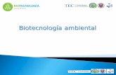 Es la aplicación de técnicas biotecnológicas para la ...biotecnologia.biologia.ucr.ac.cr/.../2017/01/6_Biotecnologia_Ambiental.pdf · nutrientes y la contaminación ambiental considerando