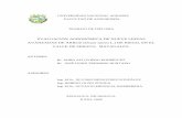 EVALUACIÓN AGRONÓMICA DE NUEVE LINEAS AVANZADAS DE ARROZ ...repositorio.una.edu.ni/2069/1/tnf30o96.pdf · Genético del cultivo de arroz que tiene a bien implementar el INTA en