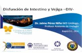 Disfunción de Intestino y Vejiga DIV- ·  Disfunción de Intestino y Vejiga –DIV- Dr. Jaime Pérez Niño MD Urólogo Profesor Asistente de Urología Bogotá D.C., 2014