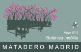 MATADERO MADRID - botanicainsolita.com · MATADERO MADRID Botánica insólita pretende ser una experiencia sensorial, en donde intervengan todos los sentidos, un espacio en el que