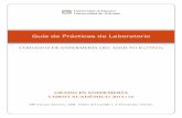 Guía de Prácticas de Laboratorio - core.ac.uk · PROFESOR/A ASOCIADO/A LOU HERNANDEZ ORTUÑO, ANTONIO PROFESOR/A ASOCIADO/A LOU VIZCAYA MORENO, MARIA FLORES PROFESOR/A TITULAR DE