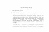 CAPÍTULO 1 - dspace.espol.edu.ec · primeros clientes en este proyecto, Perú y Ecuador. Dependiendo de los atributos exigidos por el mercado, se modificarán partes de esta nueva