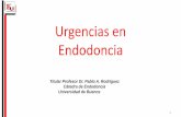 Urgencias en Endodoncia - od.odontologia.uba.arod.odontologia.uba.ar/uacad/endodoncia/docs/2017/urgenciasendo.pdf · Urgencias. Manejo del dolor. /Dolor Pulpar. Es una respuesta vascular,