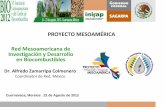 PROYECTO MESOAMÉRICA Red Mesoamericana de Investigación … 5... · Proyecto de Integración y Desarrollo de Mesoamérica: Programa Mesoamericano de Biocombustibles . Busca contribuir