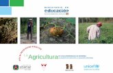 LaAgriculturabvirtual.proeibandes.org/bvirtual/eibamaz/movima/guia/Agricultura... · El presente trabajo fue realizado en el marco del acuerdo firmado entre UNICEF y la Universidad