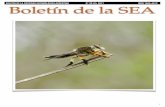 BOLETÍN DE LA SOCIEDAD ENTOMOLÓGICA ARGENTINA, ISBN … · muy bien caracterizada en la conocida abeja de la miel Apis mellifera, pero resultan escasos los estudios en otras especies.