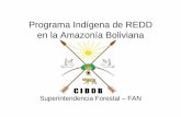 Programa Indígena de REDD en lA íBliila Amazonía Boliviana · INDIGENAS DE LAAMAZONIA YINDIGENAS DE LA AMAZONIA Y EL ORIENTE . POBLACIONES INDIGENAS AFECTADAS. PERDIDAS AGROPECUARIAS