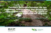 Perfiles jurisdiccionales de las regiones integrantes del ... · Perfiles jurisdiccionales de las regiones integrantes del Grupo de los Gobernadores por el Clima y los Bosques en