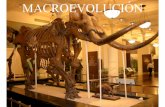 Clase 1 Introducci.n a la Macroevoluci.n.ppt [S.lo lectura] · los científicos que llevó a la refutación de los argumentos de evolución “por el bien de la especie”. Esta refutación