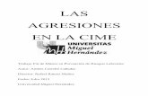 LAS AGRESIONES EN LA CIME - dspace.umh.esdspace.umh.es/bitstream/11000/2164/1/TFM Castelló Cañadas, Andrés.pdf · Palabras claves: agresión, burnout, estrés, reclamación, riesgo