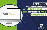 LA PRODUCTIVIDAD DE TU EMPRESA CON SAP BUSINESS ONE Y … · • En 2015 fuimos reconocidos como SAP® Recognized Expertise Partner por parte de SAP en Business One en México. Más