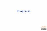 Filogenias - bioinf.comav.upv.es · Filogenias Estudio de las relaciones evolutivas Asumimos: Ancestro común Bifurcación Es habitual en las poblaciones y especies cercanas que no