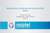 Banda Ancha y la Red Nacional Dorsal de Fibra Óptica³n_Ruiz.pdf · promueve el acceso a internet a toda persona. Es de necesidad pública e interés nacional la construcción de