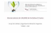 M.I. Gil Hortalizas de IV Gama -  · Horticultura al aire libre XXIII Foro de Colaboración Público Privada • Influencia de factores genéticos, climatológicos, agronómicosy