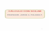 Jorge Antonio Polanía Puentes - ceduvirt.com¡lculo con Scilab.pdf · 3 INTRODUCCIÓN Este curso de cálculo contiene las unidades referentes a límites, derivadas, integrales y