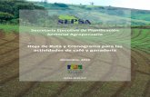 Secretaría Ejecutiva de Planificación Sectorial Agropecuaria€¦ · Los efectos del Cambio Climático han traído variaciones importantes en las condiciones meteorológicas del