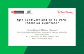 Agro Biodiversidad en el Perú, Potencial exportador fileanimales, plantas y microorganismos en los niveles genético, de especies y de ecosistemas que son necesarios para mantener