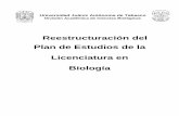 Reestructuración del Plan de Estudios de la Licenciatura ...archivostransparencia.ujat.mx/Art82/Fracc1/2017/UJAT-DFA-2017E-12.pdf · actividades agropecuarias, la construcción,