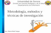 Metodología, métodos y técnicas de investigaciónenfermeria.uson.mx/.../2018/06/2_METODOLOGIA_METODOS_Y_TECNICAS..pdf · •mÉtodos y tÉcnicas de rigor cientÍfico que se aplican