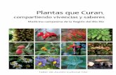 librito - TAC Acción Culturaltacaccioncultural.cl/html/pdf_/PLANTAS_QUE_CURAN.pdf · las plantas que recolectan y las “nuevas especies” que han tenido que aprender a usar. Todas