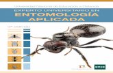 Curso de Experto Universitario en Entomología Aplicadaptico... · mundo de los insectos y de las aplicaciones prácticas que se les atribuyen. Se analizarán su anatomía, fisiología