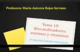 Profesora: María Antonia Rojas Serranomariarojas.iescla.org/wp-content/uploads/2018/12/TEMA-10-ENZIMAS.pdf · FACTORES QUE AFECTAN A LA VELOCIDAD ENZIMÁTICA Las reacciones catalizadas