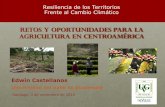 Retos y oportunidades para la agricultura en Centroaméricaconferencias.cepal.org/seminario_resiliencia/Martes 3/Pdf/Edwin Castellanos.pdf · •Los recursos que estos dos sectores
