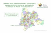 Departamento de Cundinamarca · - Establecimiento de un sistema silvopastoril con pastos (estrella, elefante, guinea y kudzú) y árboles forrajeros (leucaena y matarratón como cerca