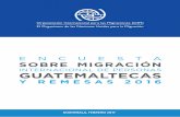 IOM OIM - onu.org.gt · datos, se elaboró un cuestionario ad hoc pre-codificado con el que se obtuvo datos sobre las y los migrantes, sus familias en las comunidades de procedencia