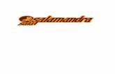 Rider Salamandra 1 cat · rider estudi gravaciÓ audio -taula digital digidesign sc48. -compresor estereo manley variable mu -2 previ manley voxbox -2 previ avalon vt 737 sp.