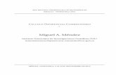 Calculo diferencial combinatorioevm.ivic.gob.ve/libromendez2012.pdf · conjuntísticas o combinatorias que están detrás de las operaciones usuales entre series formales. El concepto