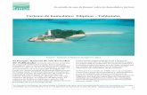Turismo de humedales: Filipinas – Tubbataha · 4. Un estudio de caso de Ramsar sobre los humedales y turismo observación de los arrecifes desde barcos con fondo de cristal. Se