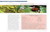 Nutrición: el nogaldr-siedentopp.de/files/_zeitschrift/Nutricion_nogal.pdf · según la Food and Drug Adminis-tration (FDA) americana, se puede reducir el riesgo de padecer enfer-medades