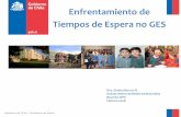 Presentación de PowerPointGobierno de Chile / Ministerio de Salud GASTO EN SALUD • Creciente presión por incrementar el gasto en salud. El tema es cómo hacerlo más eficiente.