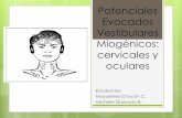 Potenciales Evocados Vestibulares Miogénicos: cervicales y … · 2019-10-27 · El estudio de la neuronitis vestibular ... Neuritis vestibular: mejoría general en oVEMP (no en