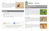 AVIFAUNA DE TIERRA DEL FUEGO 2 - Turismo Ushuaia · Guía de aves de Patagonia & Tierra del Fuego. Narosky, T., abarskas, M.e Izurieta, D. Ushuaia, Zagier & Urruty Publications(2000).