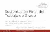 Sustentación Final del Trabajo de Grado³n.pdf · El diagnóstico de la gerencia del proyecto «Mantenimiento y rehabilitación de la carretera Honda –Villeta», comprende: El