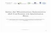 Sitio de Monitoreo Intensivo del Carbono en Quintana Roopmcarbono.org/.../Estudio_de_caso_SMIC_Quintana_Roo.pdf · 2017-04-26 · 0 Sitio de Monitoreo Intensivo del Carbono en Quintana