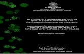 UNIVERSIDAD COMPLUTENSE DE MADRIDdigital.csic.es/bitstream/10261/167432/1/Tesis... · GTPasa homóloga de la tubulina eucariota con capacidad de autoensamblaje que interacciona con